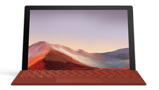 三门清洁和维护 Surface